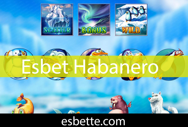 Esbet habanero slot sağlayıcısına özel oyunlarıyla eğlenceyi tattırmaktadır.